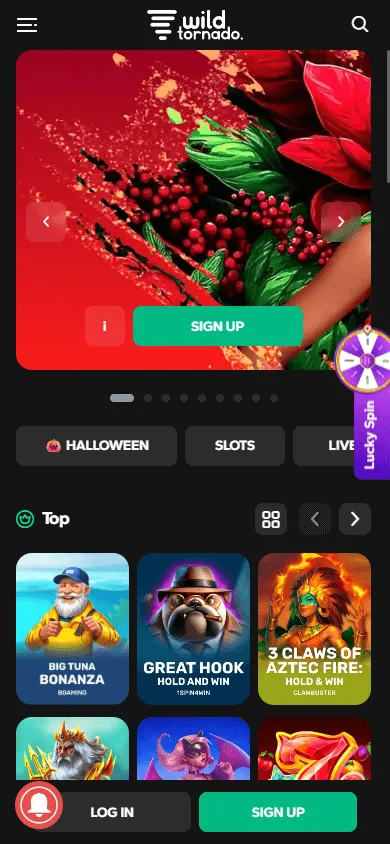 Wild Tornado Casino home page on a mobile device